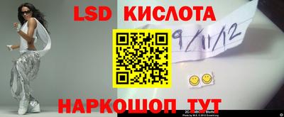 apvp Бийск