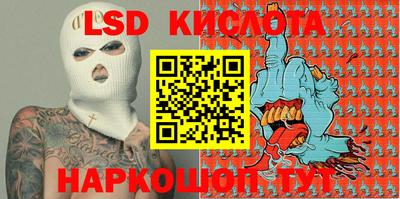 apvp Бийск
