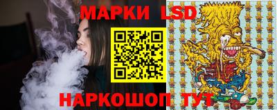 apvp Бийск